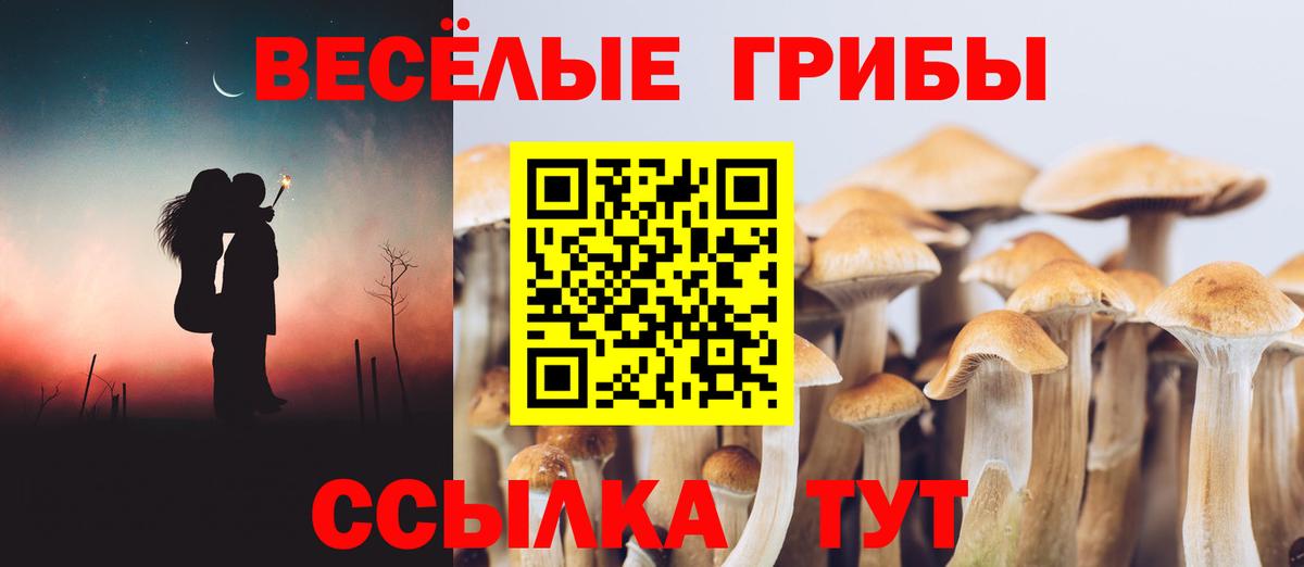 Нягань  Псилоцибиновые грибы Psilocybine cubensis  хочу наркоту  Псилоцибиновые грибы GOLDEN TEACHER  Вход с VPN 